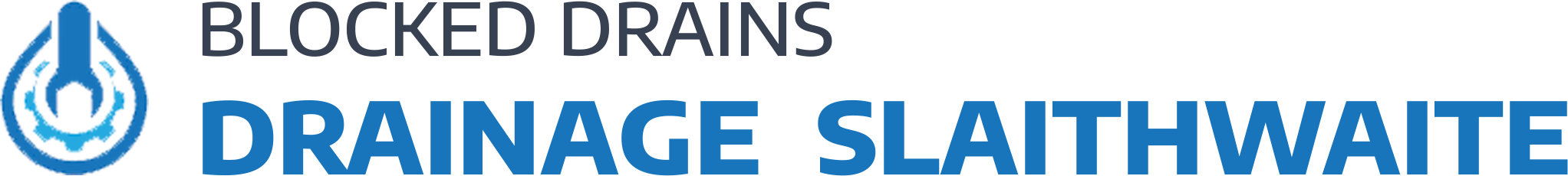 website logo